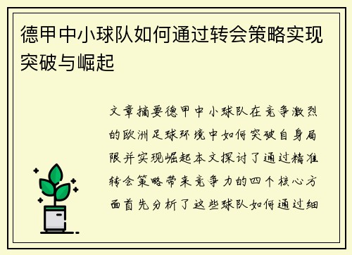 德甲中小球队如何通过转会策略实现突破与崛起 德甲中小球队如何通过转会策略实现突破与崛起